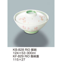 三信化工 【身のみ】三信化工 飯碗 KB-828RIO 1個（直送品）