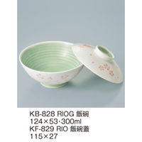 三信化工 【身のみ】三信化工 飯碗 KB-828RIOG 1個（直送品）