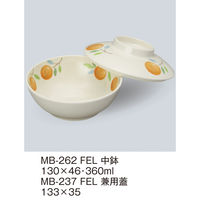 三信化工 【身のみ】三信化工 中鉢 MB-262