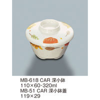 三信化工 【身のみ】三信化工 深小鉢 MB-618