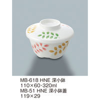 三信化工 【身のみ】三信化工 深小鉢 MB-618HNE 1個（直送品）