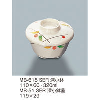 三信化工 【身のみ】三信化工 深小鉢 MB-618SER 1個（直送品）
