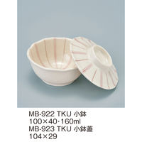 三信化工 【身のみ】三信化工 小鉢 MB-922TKU 1個（直送品）