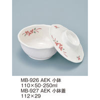 三信化工 【身のみ】三信化工 小鉢 MB-926