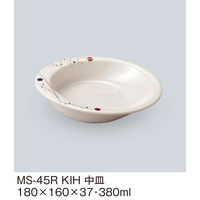 三信化工 中皿 MS-45RKIH 1個（直送品）