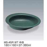 三信化工 中皿 MS-45RWT 1個（直送品）