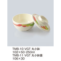 三信化工 【身のみ】三信化工 丸小鉢 TMB-10VGT 1個（直送品）