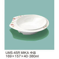 三信化工 中皿 UMS-45