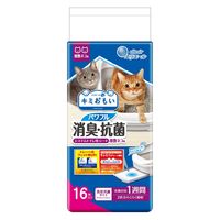 GG[ L~ ptLER VXegCpV[g lRp 1Tԕ 16 1 剤