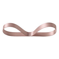 ヘッズ 両面サテンリボンＩＣＥＢＥＩＧＥ10ｍｍ DS1013R 1巻