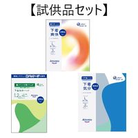【0円サンプル】試供品下着爽快Lサイズ1枚＋下着気分Lサイズ1枚＋下着気分パッド1枚