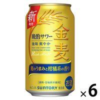 ビール類 発泡酒 金麦 晩酌サワー 350ml 缶 6本