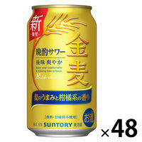 ビール類 発泡酒 金麦 晩酌サワー 350ml 缶 2ケース(48本)