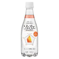【アウトレット】ポッカサッポロ　食事に合う無糖炭酸水　ソムリエウォーターfor肉料理　410ml　1箱（24本入）