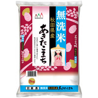 茨城県産 コシヒカリ 5kg 1袋 【無洗米】 令和6年産 米 お米 茨城県産 コシヒカリ 5kg 1袋 【無洗米】 令和6年産 米 お米
