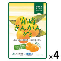 【ワゴンセール】宮崎きんかんグミ　ラブレ乳酸菌入　40g 4個 カネカ食品 グミ　キャンディ