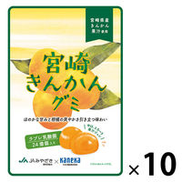 【ワゴンセール】宮崎きんかんグミ　ラブレ乳酸菌入　40g 10個 カネカ食品 グミ　キャンディ