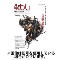 月刊むし 2025/04/21発売号から1年(12冊)(雑誌)（直送品）