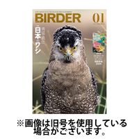 BIRDER（バーダー） 2025/04/16発売号から1年(12冊)(雑誌)（直送品）