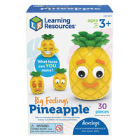 Learning　Resources　Big　Feelings　Pineapple　にこにこパイナップル　LER6　1個