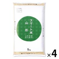R`Y ͂ʂ 20kg(5kg×4)  ߘa6NY X}[g IveB