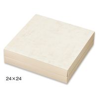 䎆H Hi MtgP[X 31053 ^ʐE~[ 24×24 4525241120103 1Zbg(50)iij