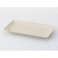 C yammy pgC BE 25476 1(3)iij
