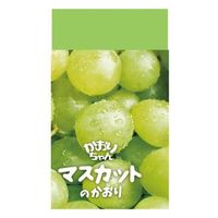 qmfV 肿}XJbgS MSC-K 1Zbg(30)iij