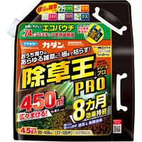 ニチノウのタネ やく味小ねぎ 日本農産種苗 4960599149909 1