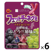 フェットチーネグミ　プレミアムぶどう三姉妹味 50g 6袋 ブルボン