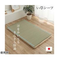 イケヒコ・コーポレーション い草シーツ ブルー ベビーサイズ 約70×120cm 67-5723-28 1個（直送品）