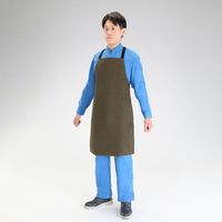 エスコ 83x60cm 難燃エプロン(OD色) EA355BA-60 1セット(2枚)（直送品）