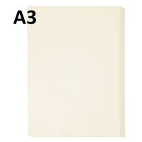 アスクル　カラーペーパー　厚口　アイボリー　A3　1冊（250枚入） オリジナル（わけあり品）