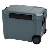 Coleman コールマン クーラーボックス クーラーバッグ 保冷