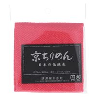  n ߂ JbgNX TCM1000C_2826 1Zbg(3)iij