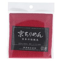  n ߂ JbgNX TCM1000C_2827 1Zbg(3)iij