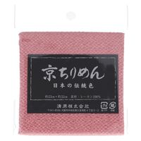  n ߂ JbgNX TCM1000C_2838 1Zbg(3)iij