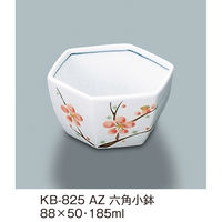 OMH Zp KB-825AZ 1iij