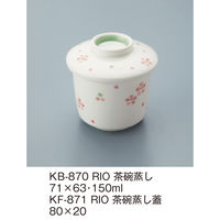 OMH yŴ݁zOMH q()W KF-871RIO 1iij