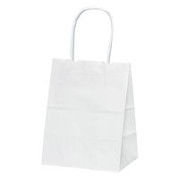 パックタケヤマ 自動手提袋 HV20 晒 無地 XZK68659 1袋(50枚入)（直送品）