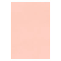 大王製紙 フレッシュカラー色画用紙 八切 サーモン A-6381 1袋（100枚）