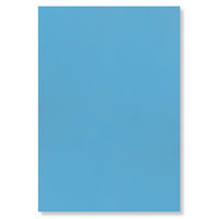 大王製紙 フレッシュカラー色画用紙 八切 そら B-3281 1袋（100枚）