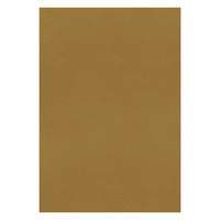 大王製紙 フレッシュカラー色画用紙 八切 くちばいろ B-4781 1袋（100枚）