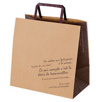 ヘッズ BKFブラウンペーパーバッグ-3 BKB-3P 1セット(1パック(50枚)×6)