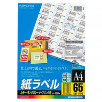 コクヨ（KOKUYO） LBP用紙ラベル（カラー&モノクロ対応） A4 65面カット 100枚入 LBP-F7651-100N 1袋（100シート）