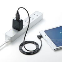 サンワサプライ USB充電器（2A・高耐久タイプ） ACA-IP52BK 1個