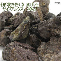 `󂨔C R TCY~bNX 5`30cm 40kg 116200 1iij