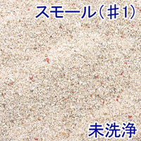 Leaf Corporation（リーフコーポレーション） 未洗浄 サンゴ砂 スモール #1 9L 海水水槽用底砂 199118 1個（直送品）