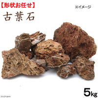 `󂨔C ×t 5kg 215003 1iij