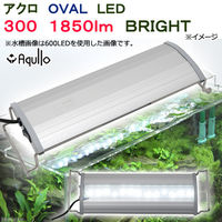 アクロ OVAL LED 300 1850lm BRIGHT Series 30cm水槽用照明 ライト 熱帯魚 水草 274071 1個（直送品）